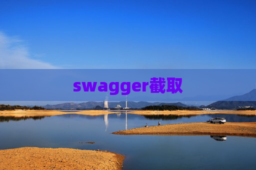 swagger截取